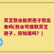 灵芝熬水能把孢子熬出来吗(熬水可提取灵芝孢子，你知道吗？)
