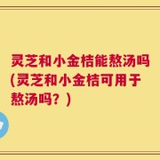灵芝和小金桔能熬汤吗(灵芝和小金桔可用于熬汤吗？)
