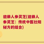 貔貅人参灵芝(貔貅人参灵芝：传统中医壮阳秘方的组合)