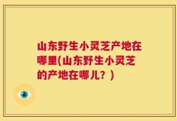山东野生小灵芝产地在哪里(山东野生小灵芝的产地在哪儿？)