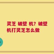 灵芝 破壁 机？破壁机打灵芝怎么做