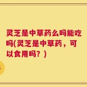 灵芝是中草药么吗能吃吗(灵芝是中草药，可以食用吗？)