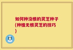 如何种没根的灵芝种子(种植无根灵芝的技巧)