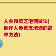 人参和灵芝泡酒做法(制作人参灵芝泡酒的简单方法)
