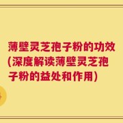 薄壁灵芝孢子粉的功效(深度解读薄壁灵芝孢子粉的益处和作用)