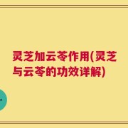 灵芝加云苓作用(灵芝与云苓的功效详解)
