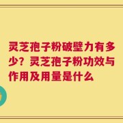 灵芝孢子粉破壁力有多少？灵芝孢子粉功效与作用及用量是什么