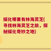 绥化哪里有林海灵芝(寻找林海灵芝之旅，探秘绥化奇妙之地)