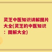 灵芝中医知识讲解图片大全(灵芝的中医知识：图解大全)