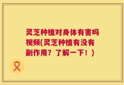 灵芝种植对身体有害吗视频(灵芝种植有没有副作用？了解一下！)