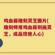 鸡血藤雕刻灵芝图片(雕刻师用鸡血藤刻画灵芝，成品惊艳人心)