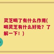 灵芝喝了有什么作用(喝灵芝有什么好处？了解一下！)