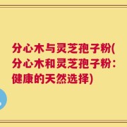 分心木与灵芝孢子粉(分心木和灵芝孢子粉：健康的天然选择)