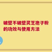 破壁不破壁灵芝孢子粉的功效与使用方法