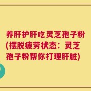 养肝护肝吃灵芝孢子粉(摆脱疲劳状态：灵芝孢子粉帮你打理肝脏)