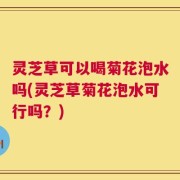 灵芝草可以喝菊花泡水吗(灵芝草菊花泡水可行吗？)