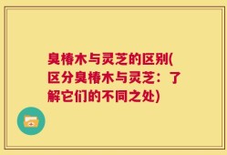 臭椿木与灵芝的区别(区分臭椿木与灵芝：了解它们的不同之处)
