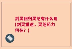 剑灵回归灵芝有什么用(剑灵重返，灵芝药力何在？)