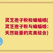 灵芝孢子粉和蝙蝠蛾(灵芝孢子粉与蝙蝠蛾：天然能量的完美组合)