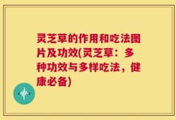 灵芝草的作用和吃法图片及功效(灵芝草：多种功效与多样吃法，健康必备)