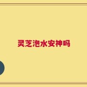 灵芝泡水安神吗