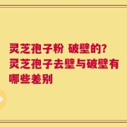 灵芝孢子粉 破壁的？灵芝孢子去壁与破壁有哪些差别