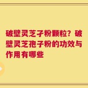 破壁灵芝孑粉颗粒？破壁灵芝孢子粉的功效与作用有哪些