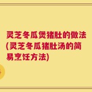 灵芝冬瓜煲猪肚的做法(灵芝冬瓜猪肚汤的简易烹饪方法)