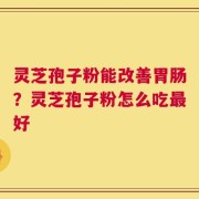灵芝孢子粉能改善胃肠？灵芝孢子粉怎么吃最好