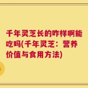 千年灵芝长的咋样啊能吃吗(千年灵芝：营养价值与食用方法)