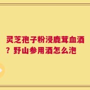灵芝孢子粉浸鹿茸血酒？野山参用酒怎么泡