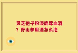 灵芝孢子粉浸鹿茸血酒？野山参用酒怎么泡