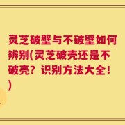 灵芝破壁与不破壁如何辨别(灵芝破壳还是不破壳？识别方法大全！)