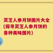 灵芝人参月饼图片大全(探寻灵芝人参月饼的各种美味图片)