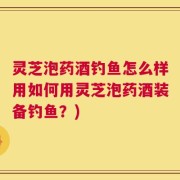 灵芝泡药酒钓鱼怎么样用如何用灵芝泡药酒装备钓鱼？)