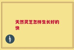 天然灵芝怎样生长好的快