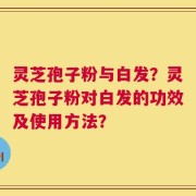 灵芝孢子粉与白发？灵芝孢子粉对白发的功效及使用方法？