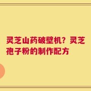 灵芝山药破壁机？灵芝孢子粉的制作配方