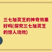 三七加灵芝的神奇效果好吗(探究三七加灵芝的惊人功效)