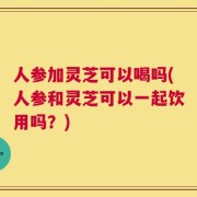 人参加灵芝可以喝吗(人参和灵芝可以一起饮用吗？)
