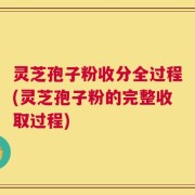 灵芝孢子粉收分全过程(灵芝孢子粉的完整收取过程)