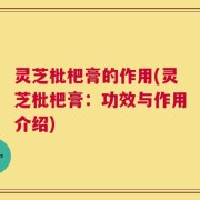 灵芝枇杷膏的作用(灵芝枇杷膏：功效与作用介绍)