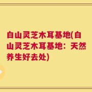 白山灵芝木耳基地(白山灵芝木耳基地：天然养生好去处)