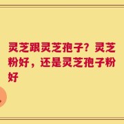 灵芝跟灵芝孢子？灵芝粉好，还是灵芝孢子粉好