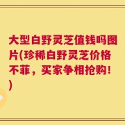 大型白野灵芝值钱吗图片(珍稀白野灵芝价格不菲，买家争相抢购！)
