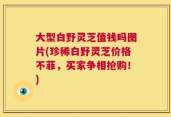 大型白野灵芝值钱吗图片(珍稀白野灵芝价格不菲，买家争相抢购！)