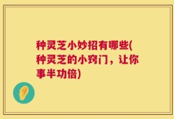 种灵芝小妙招有哪些(种灵芝的小窍门，让你事半功倍)