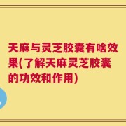 天麻与灵芝胶囊有啥效果(了解天麻灵芝胶囊的功效和作用)