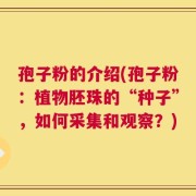 孢子粉的介绍(孢子粉：植物胚珠的“种子”，如何采集和观察？)