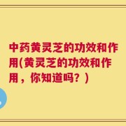 中药黄灵芝的功效和作用(黄灵芝的功效和作用，你知道吗？)